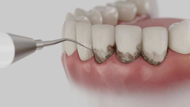 Reliable Dental contractor in Rustburg, VA by Dentist Open Now
